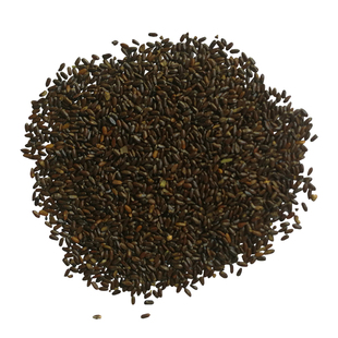 薰衣草种子狭叶普罗旺斯花种籽子四季种驱蚊香草阳台庭院开花耐寒