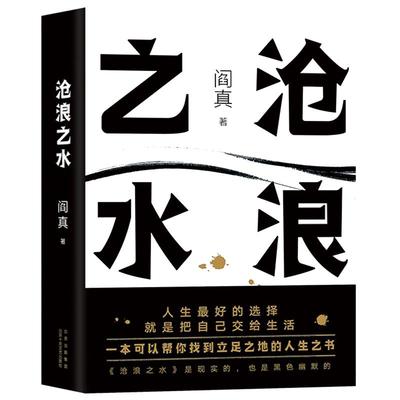 沧浪之水无阎真