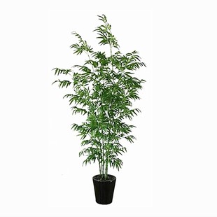 高端仿真单根紫绿竹子商场城店铺橱窗展厅角落落地禅意装饰造景植