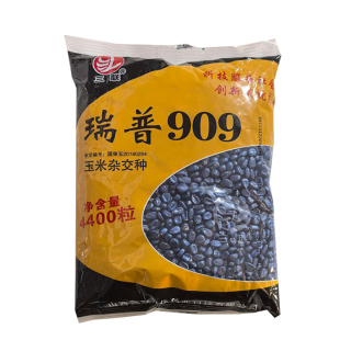 国审正品三联瑞普909玉米种子抗旱抗倒伏矮杆防锈病大棒苞谷种籽