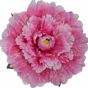 舞蹈道具牡丹手拿花幼儿园运动会入场花朵儿童演出广场舞跳舞手花