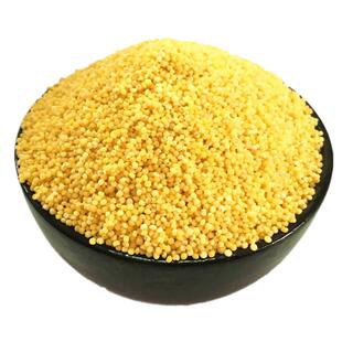 山西沁州黄小米谷子种子 春夏季播 优质抗旱新谷种黄小米粮食种子