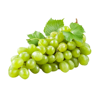 塔莎的花园四季树葡萄裸根树苗庭院果树苗阳光玫瑰蓝宝石妮娜皇后