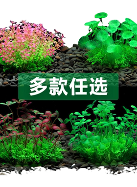 溪流鱼缸造景仿真水草装饰摆件