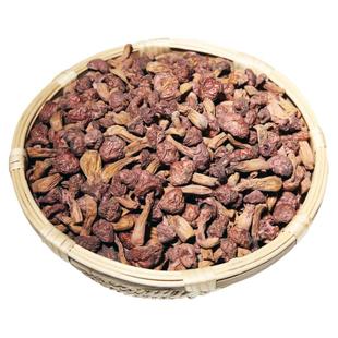 东北松伞蘑肉蘑菇新鲜红蘑东北野生蘑菇松蘑干货精选小鸡炖蘑菇