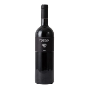 传奇酒庄Alto创始酿酒师私酿干红