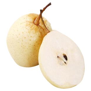 河北鸭梨新鲜水果脆甜多汁皮薄肉细批发包邮到家雪梨皇冠梨