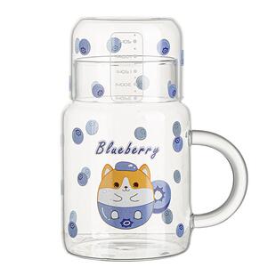 弗莱文茨高硼玻璃杯把手高颜值网红带盖家用水壶一壶一杯凉水壶