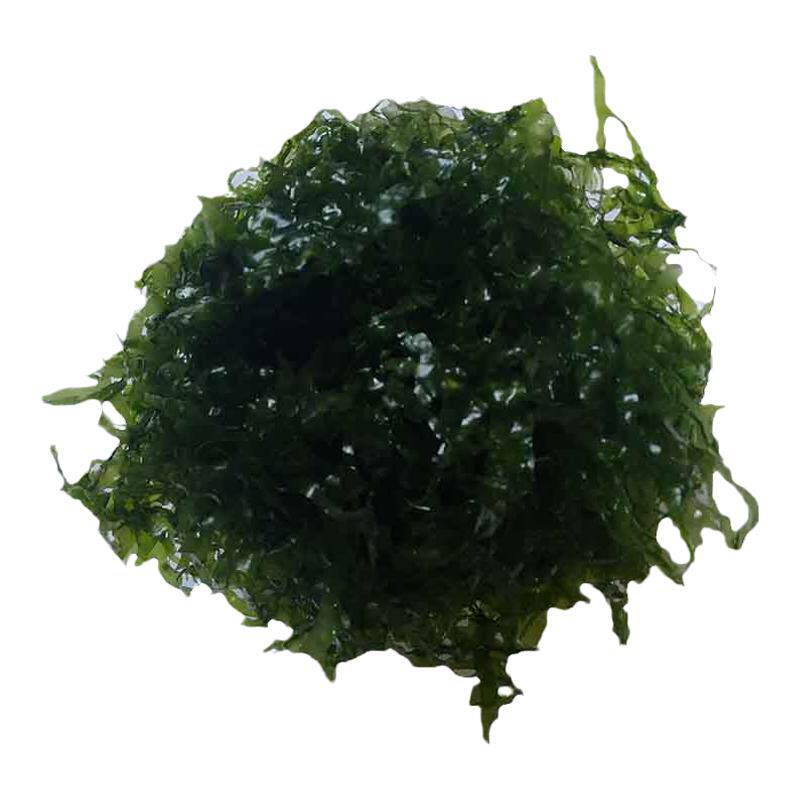 散装怪蕨好养摩莫斯凤尾莫丝水草