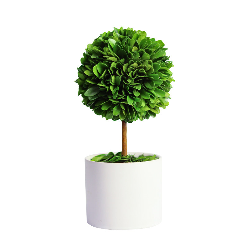 【买一送一】办公室绿植客厅桌面盆栽永生植物室内装饰品卧室摆件