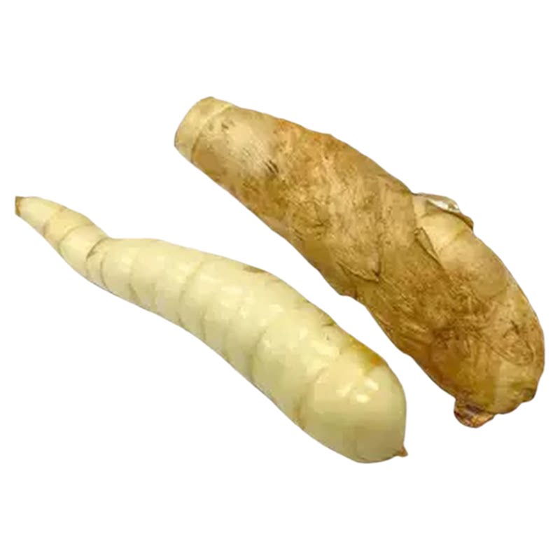 批发竹薯广东特产现挖新鲜直达