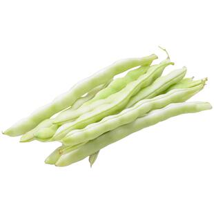 九粒白芸豆种子孑白不老豆角种籽大全高产四季豆摘不败老来少豇豆