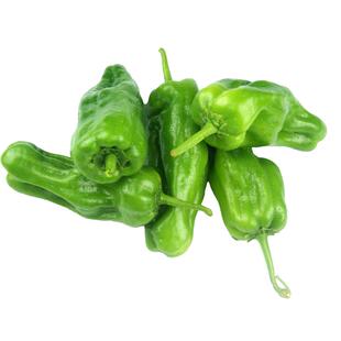 苏北农家自种新鲜薄皮青椒虎皮青辣椒菜椒牛角椒5斤时令蔬菜现摘