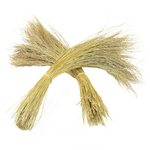 贵州糯杆草农家糯米稻草芯香禾糯稻草包粽子绳编制稻草人装饰原料