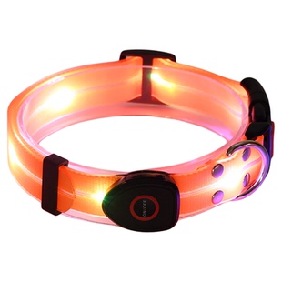 狗狗发光项圈夜间遛狗夜光狗圈小狗发光圈发亮荧光小型犬宠物脖圈