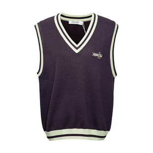 D-HARRY/迪哈利2025冬季新款学院风百搭紫色毛织马甲DH254C62906T