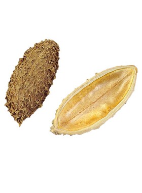 手工DIY松果干果干花套装小摆件