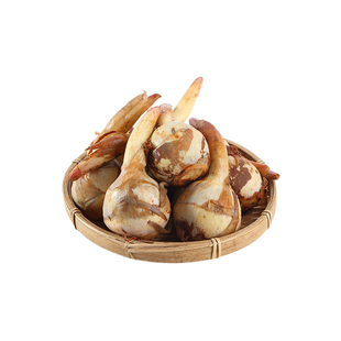 【顺丰空运】云南新鲜慈姑茨菰茨菇白马蹄鲜慈姑粉糯荸荠新鲜蔬菜