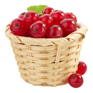 红加仑果树苗红豆苗红醋栗苗红灯笼果苗南北方种植结果红茶藨子