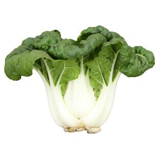 早熟矮脚奶白菜种籽四季奶油小青菜种子适合春天种的菜种蔬菜种孑