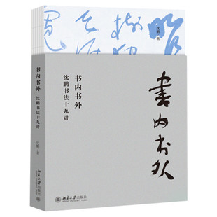 【2020年中国好书获奖】书内书外 沈鹏书法十九讲 沈鹏书法讲演集 北京大学官方正版书法艺术书法教学实践精选国学修养与书法书籍