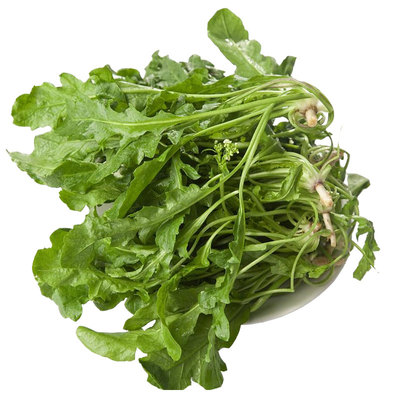 荠荠菜种子大叶四季菜籽香春季蔬菜种籽孑菜种荠菜芨芨菜大全