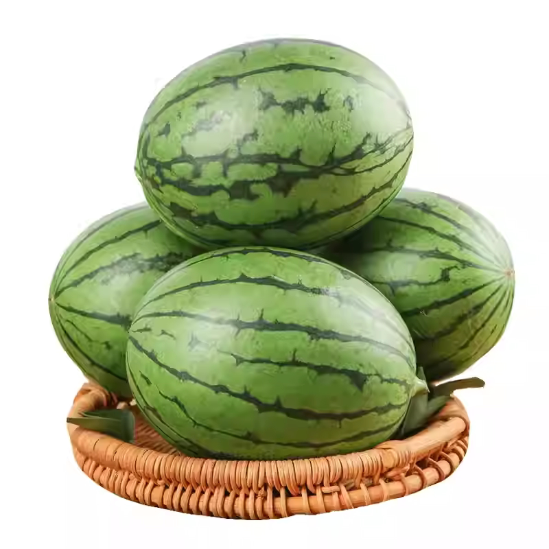 超甜麒麟蜜罐薄皮小西瓜种无籽小西瓜四季种植阳台庭院盆栽水果种