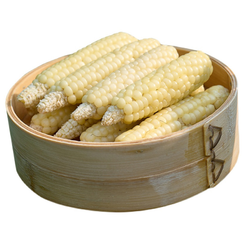 雨林情怀云南西双版纳拇指糯玉米