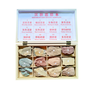 地质队工程师定制沉积岩标本48种水成变质火成岩浆岩一年质保特惠