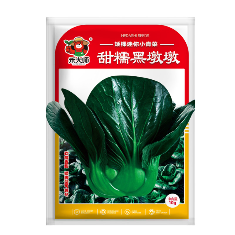 甜糯黑墩墩种子可持续采收可越冬耐寒秋冬蔬菜种籽阳台盆栽种植