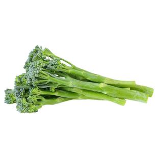 西兰苔种子孑种籽苗西兰花种籽芥兰芥蓝苔菜菜苔四季蔬菜菜心菜种