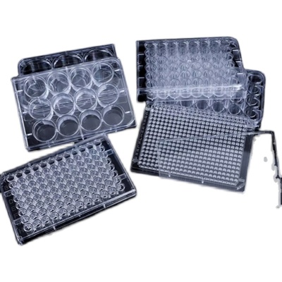 细菌培养板培养板星博莱包邮