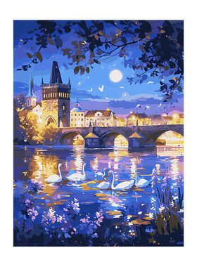数字油画diy手绘填充手工手绘画画填色肌理涂色油彩画 月夜天鹅湖