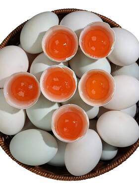 新鲜带壳红泥生咸鸭蛋包粽子馅料