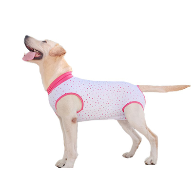 泰旺金毛犬狗纯棉包肚子T恤背心