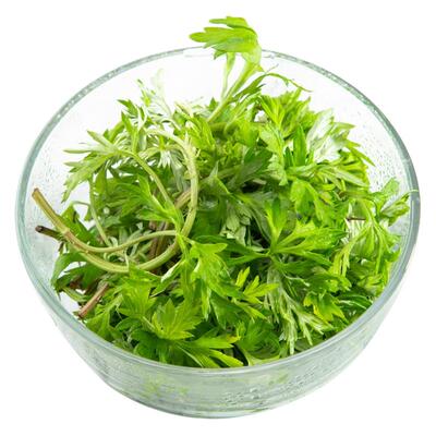 新鲜艾叶青团艾叶青团清明草