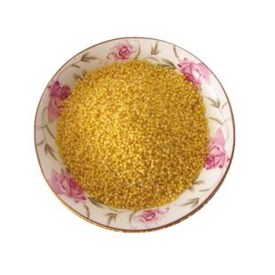 2025新米黄小米坝上伟伟农家五谷杂粮食蔚县小黄米小米粥蔚州5斤