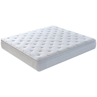 埃迪蒙托零压巨能簧系统床垫独立弹簧席梦思家用软垫卧室十大名牌