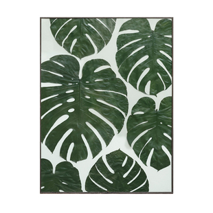 种籽造物手作龟背竹大画植物标本挂画手工玄关装饰画客厅联画组画