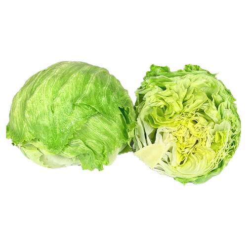 新鲜球生菜5斤 汉堡用西餐蔬菜沙拉食材结球形圆型西生菜顺丰包邮