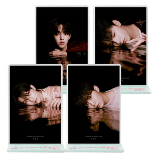 SEVENTEEN男团THE8洪知秀金珉奎崔胜澈哲明星周边流麻礼物品