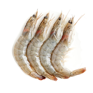 大虾鲜活冷冻超大海虾王牌明虾特大青虾白对虾基围虾青岛海鲜水产