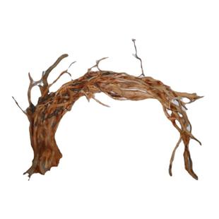 杜鹃须根粗枝细枝条南美鱼缸造景躲避沉木天然树桩水草骨架胶包邮