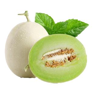 现摘海南玉菇甜瓜头茬冰淇淋甜瓜9斤正宗玉菇蜜瓜新鲜当季水果46