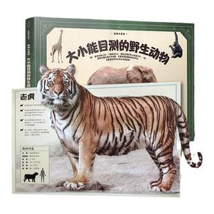 动物绘本百科全书大小能目测的动物2岁宝宝书籍早教启蒙书野生海洋史前恐龙幼儿园小学生翻翻书精装认知绘本0-3岁0到3岁科普绘本