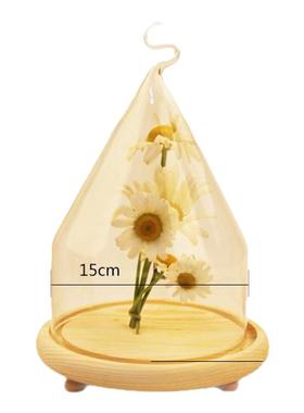 创意透明微景观摆件玻璃罩子