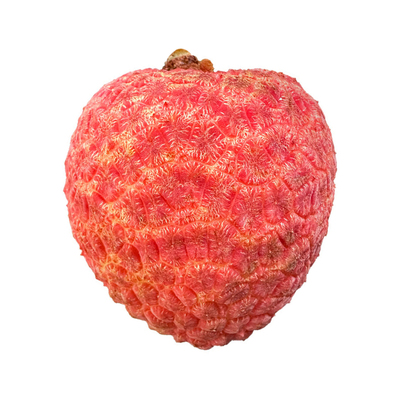 新鲜荔枝产地顺丰空运