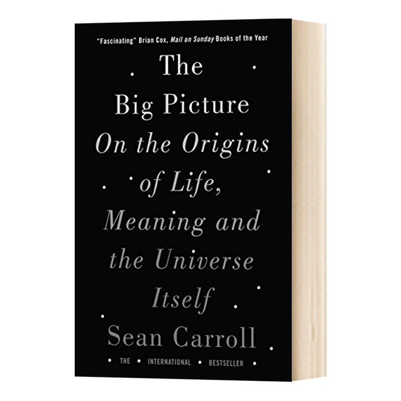 英文原版 The Big Picture大图景 论生命的起源 意义和宇宙本身 英文版 进口英语原版书籍