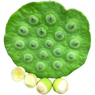 洪湖莲蓬新鲜莲蓬生吃现摘湖北特产嫩莲子米鲜嫩水果莲蓬顺丰京东