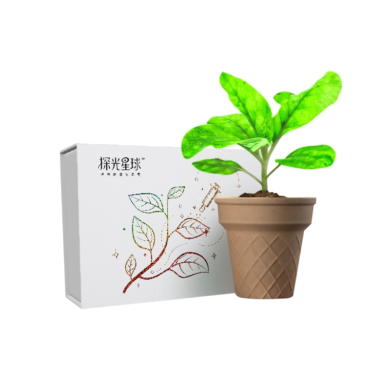 探光星球植物发光科学实验套装